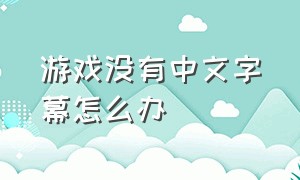 游戏没有中文字幕怎么办