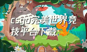 csgo完美世界竞技平台下载