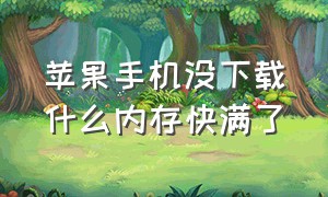 苹果手机没下载什么内存快满了