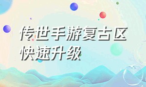 传世手游复古区快速升级（传世手游官网正版搬砖）