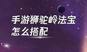 手游狮驼岭法宝怎么搭配（梦幻手游狮驼岭法宝搭配）