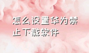 怎么设置华为禁止下载软件（华为禁止下载应用权限怎么解除）