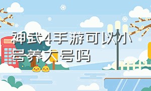 神武4手游可以小号养大号吗