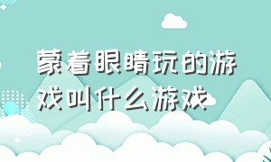 蒙着眼睛玩的游戏叫什么游戏