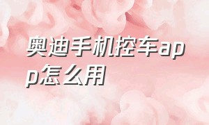 奥迪手机控车app怎么用（奥迪手机控车app怎么用不了）