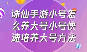 诛仙手游小号怎么养大号小号快速培养大号方法