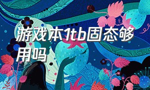 游戏本1tb固态够用吗