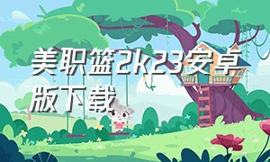 美职篮2k23安卓版下载（美职篮2k21安卓怎么下载）