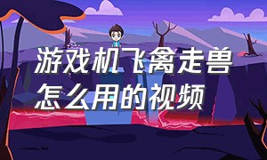 游戏机飞禽走兽怎么用的视频