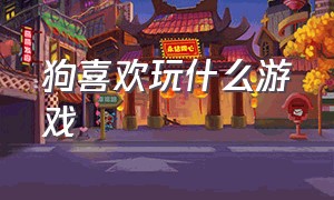 狗喜欢玩什么游戏