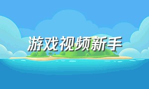 游戏视频新手（游戏视频解说中文版）