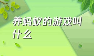 养蚂蚁的游戏叫什么