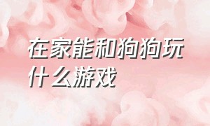 在家能和狗狗玩什么游戏