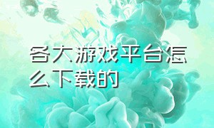 各大游戏平台怎么下载的