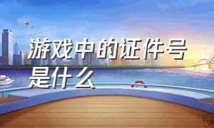 游戏中的证件号是什么（游戏中的证件号是什么意思啊）