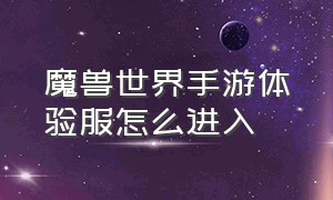 魔兽世界手游体验服怎么进入