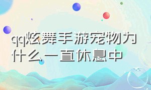 qq炫舞手游宠物为什么一直休息中