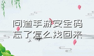 问道手游安全码忘了怎么找回来