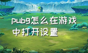 pubg怎么在游戏中打开设置