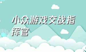 小众游戏交战指挥官