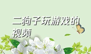 二狗子玩游戏的视频