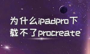 为什么ipadpro下载不了procreate