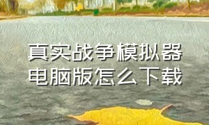 真实战争模拟器电脑版怎么下载