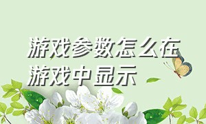 游戏参数怎么在游戏中显示