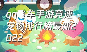 qq飞车手游竞速宠物排行榜最新2022