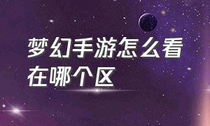 梦幻手游怎么看在哪个区（梦幻手游忘记自己在哪个区玩的了）