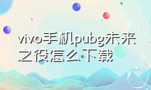 vivo手机pubg未来之役怎么下载（vivo手机pubg最简单的方法）