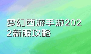 梦幻西游手游2022新服攻略（梦幻西游手游官方官网网易版）