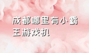 成都哪里有小霸王游戏机（成都小霸王游戏机在哪里有卖）