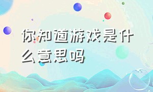 你知道游戏是什么意思吗