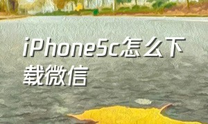 iphone5c怎么下载微信