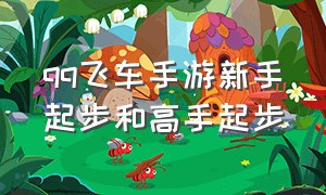 qq飞车手游新手起步和高手起步