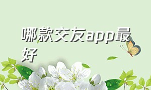 哪款交友app最好