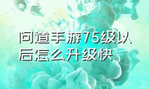 问道手游75级以后怎么升级快