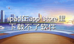 ipad在app store里下载不了软件（为啥ipadapp store下载不了软件）