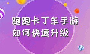 跑跑卡丁车手游如何快速升级（跑跑卡丁车手游如何快速升级等级）