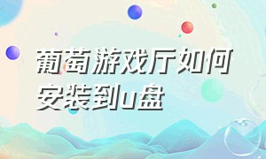 葡萄游戏厅如何安装到u盘