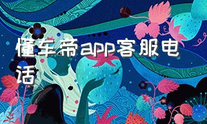 懂车帝app客服电话