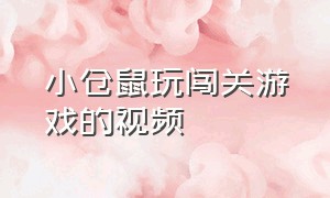 小仓鼠玩闯关游戏的视频