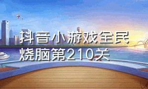 抖音小游戏全民烧脑第210关（全民烧脑游戏210关怎么过关）