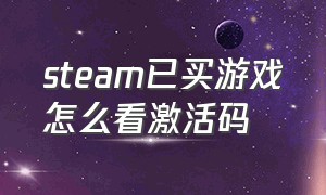 steam已买游戏怎么看激活码