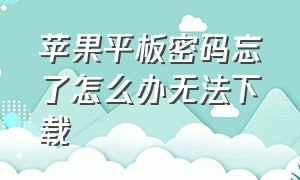 苹果平板密码忘了怎么办无法下载