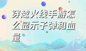 穿越火线手游怎么显示子弹和血量