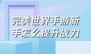 完美世界手游新手怎么提升战力