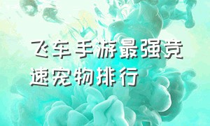 飞车手游最强竞速宠物排行（飞车手游最强竞速宠物排行图）