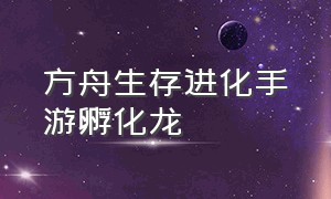 方舟生存进化手游孵化龙